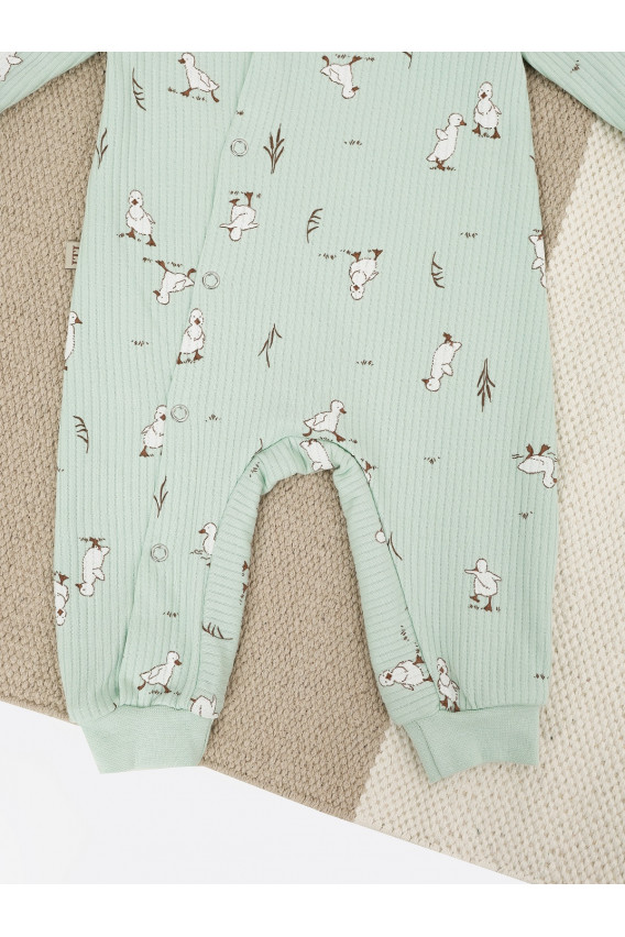 15.49 Набор из двух комбинезонов, экрю, нефрит